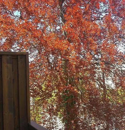 Cozy Victus Walk To The Pier By Renters * Σόποτ